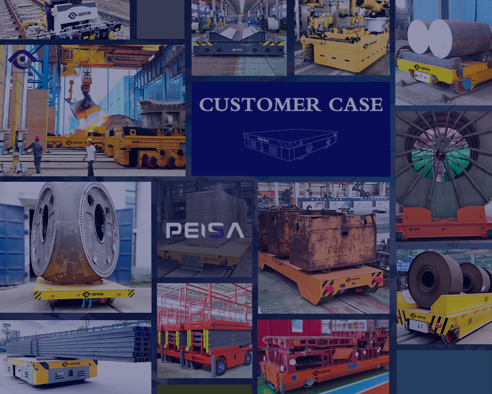 transfer cart case.jpg