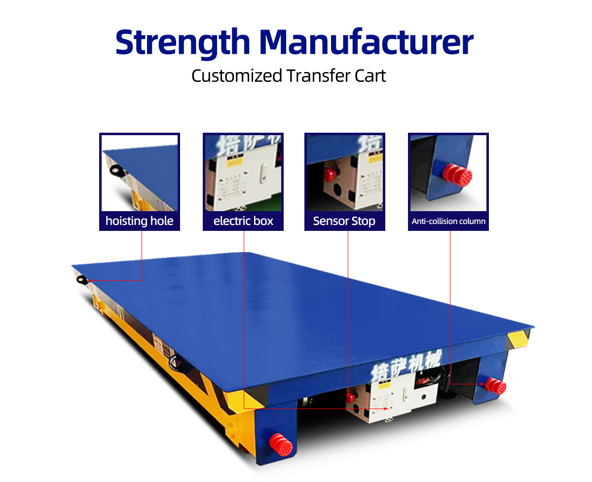 details of rail flat cart